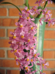 Maiores Detalhes