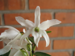 Maiores Detalhes