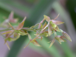 Maiores Detalhes