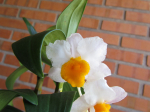 Maiores Detalhes
