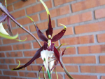 Maiores Detalhes