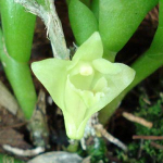Maiores Detalhes