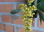 Maiores Detalhes