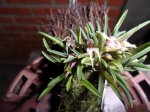 Maiores Detalhes