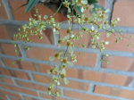 Maiores Detalhes