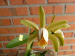 Maiores Detalhes