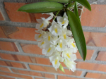 Maiores Detalhes