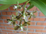 Maiores Detalhes