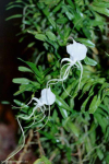Maiores Detalhes