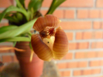 Maiores Detalhes