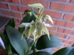Maiores Detalhes