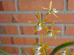 Maiores Detalhes