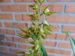 Maiores Detalhes