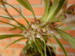 Maiores Detalhes