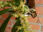 Maiores Detalhes