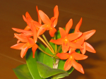 Maiores Detalhes