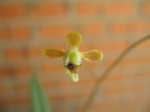 Maiores Detalhes