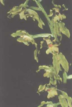 Maiores Detalhes
