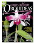 Maiores Detalhes