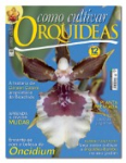 Maiores Detalhes