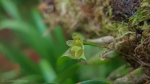Maiores Detalhes